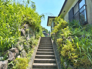 宮崎市清武町、収益物件/店舗付住宅の画像です