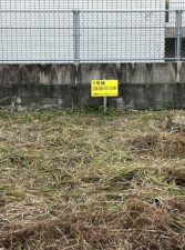 宮崎市京塚、土地の画像です