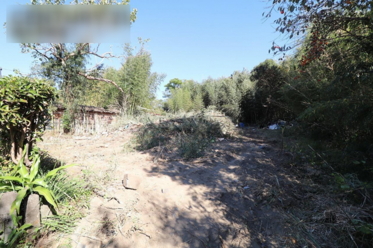 宮崎市大字田吉、土地の画像です