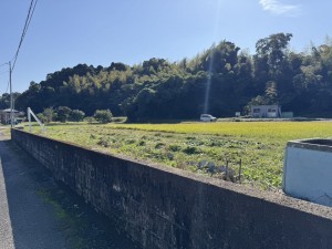 宮崎市大字小松、土地の外観画像です