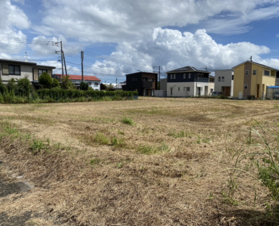 宮崎市田野町、土地の画像です