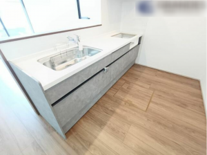 宮崎市村角町、新築一戸建ての画像です