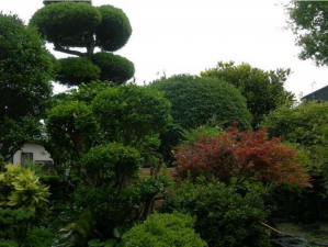 宮崎市恒久、中古一戸建ての画像です