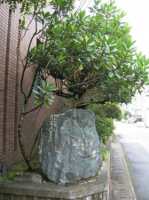 宮崎市恒久、中古一戸建ての画像です