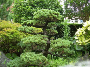 宮崎市恒久、中古一戸建ての画像です