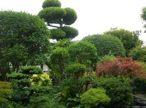 宮崎市恒久、中古一戸建ての画像です