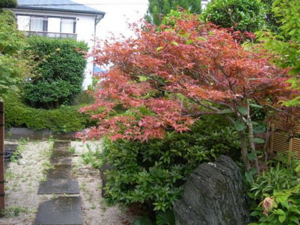 宮崎市恒久、中古一戸建ての画像です