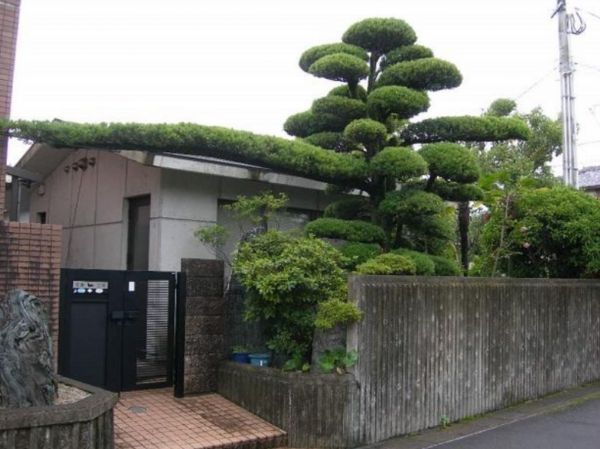 宮崎市恒久、中古一戸建ての画像です