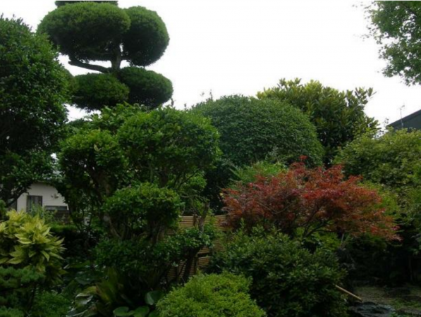 宮崎市恒久、中古一戸建ての画像です