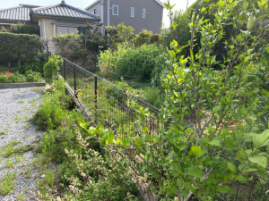 宮崎市恒久、土地の画像です