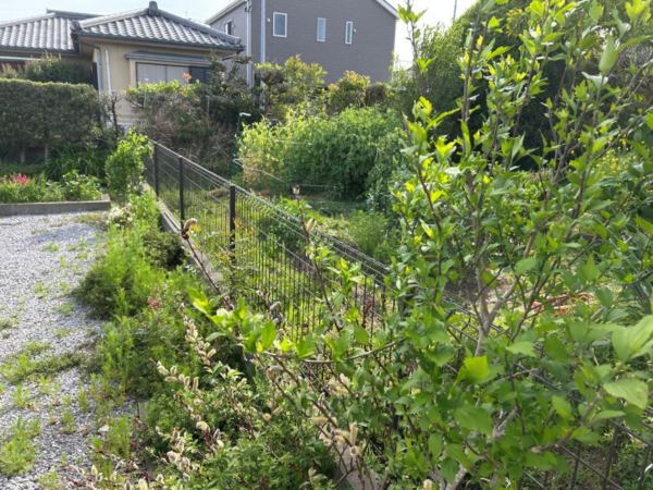 宮崎市恒久、土地の画像です