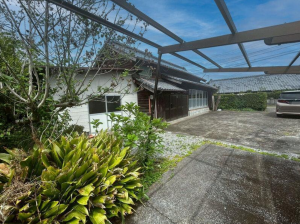 宮崎市、土地の画像です