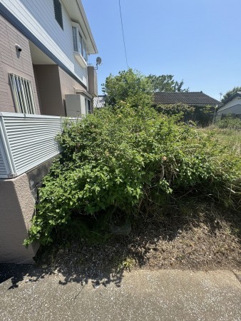 宮崎市曽師町、土地の画像です