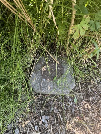 宮崎市曽師町、土地の画像です