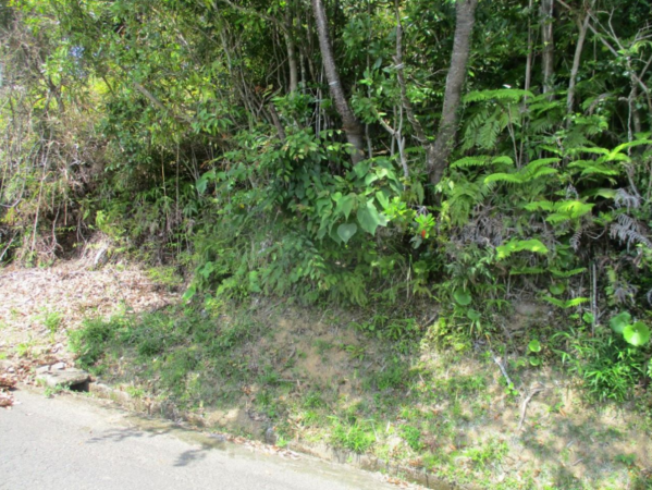 宮崎市、土地の画像です