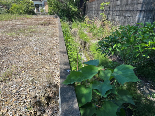 宮崎市、土地の画像です