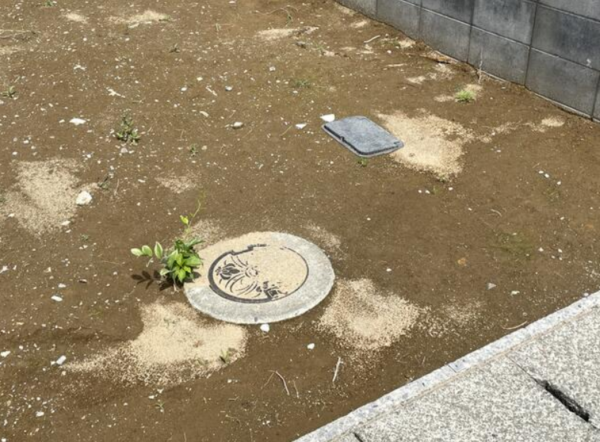 宮崎市恒久、土地の画像です