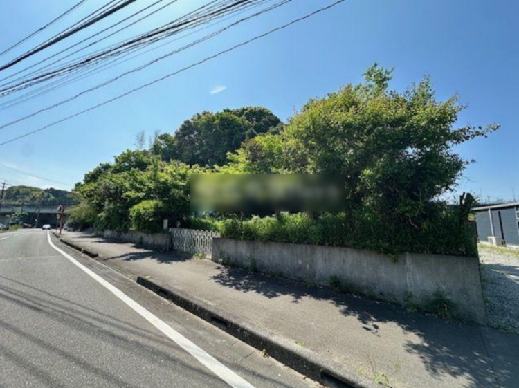 宮崎市大字恒久、土地の画像です