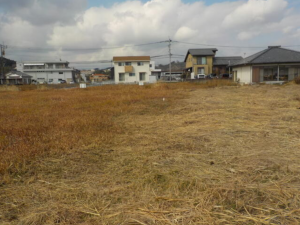 宮崎市高岡町、土地の画像です