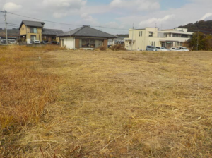 宮崎市高岡町、土地の画像です