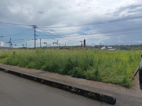 宮崎市佐土原町、土地の画像です
