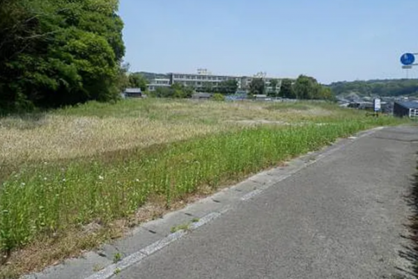 宮崎市高岡町、土地の画像です
