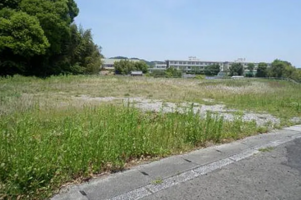 宮崎市高岡町、土地の画像です