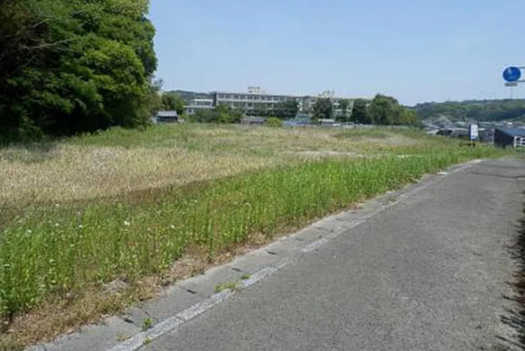 宮崎市高岡町、土地の画像です