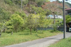 宮崎市高岡町、土地の画像です