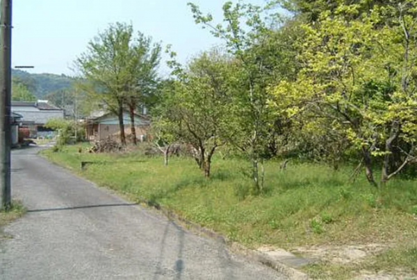 宮崎市高岡町、土地の画像です