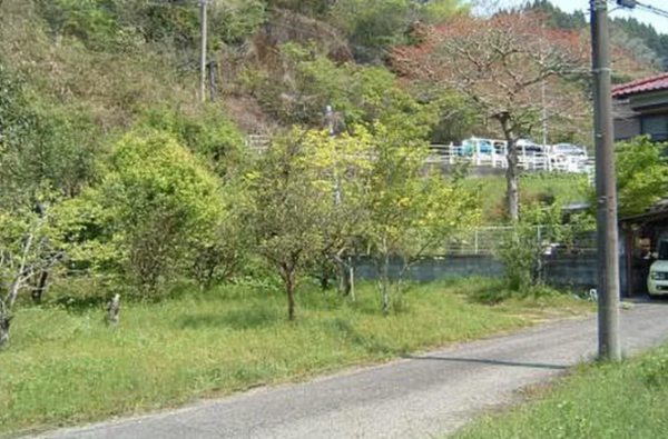 宮崎市高岡町、土地の画像です