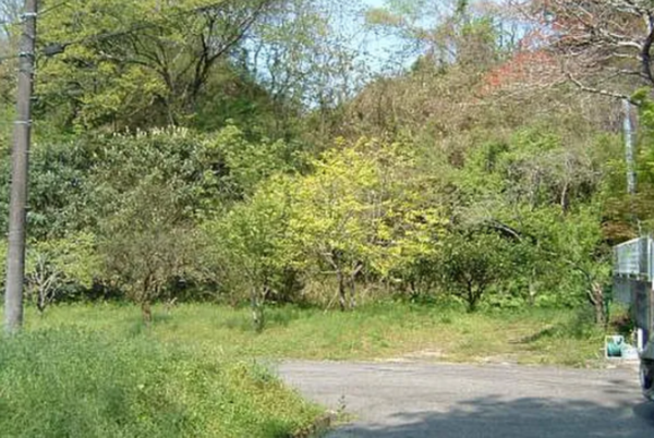 宮崎市高岡町、土地の画像です