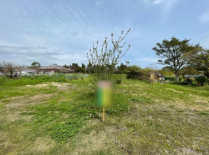 宮崎市佐土原町、土地の画像です