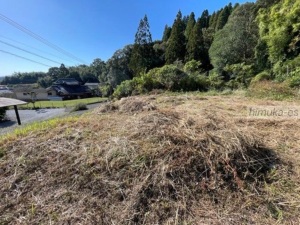 宮崎市高岡町、土地の画像です