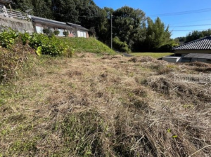 宮崎市高岡町、土地の画像です