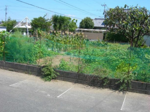 宮崎市恒久、土地の画像です
