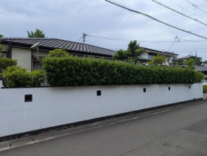 宮崎市、中古一戸建ての画像です