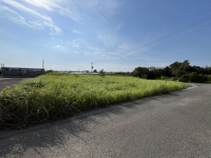 宮崎市阿波岐原町、土地の画像です