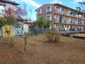 宮崎市、中古一戸建ての画像です