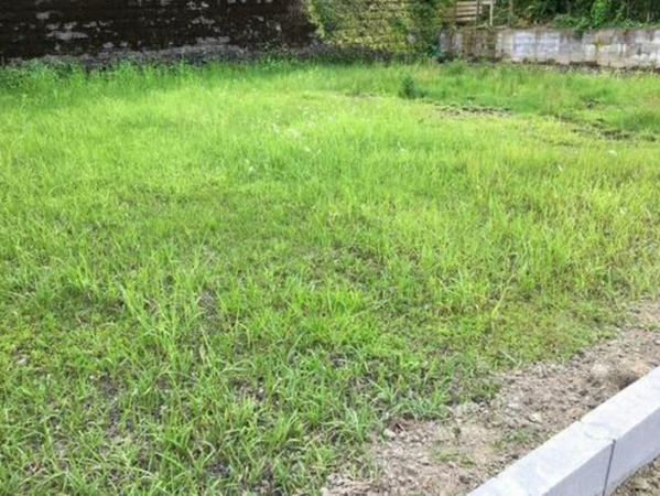 宮崎市佐土原町、土地の画像です