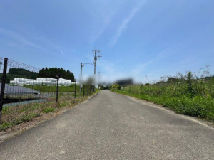 宮崎市高岡町、土地の画像です