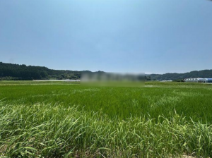 宮崎市高岡町、土地の画像です