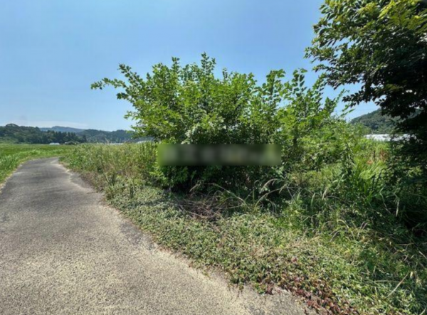 宮崎市高岡町、土地の画像です