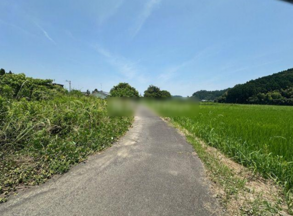 宮崎市高岡町、土地の画像です