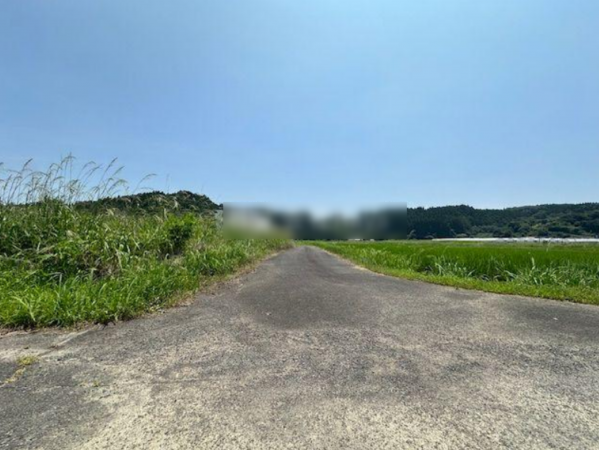 宮崎市高岡町、土地の画像です