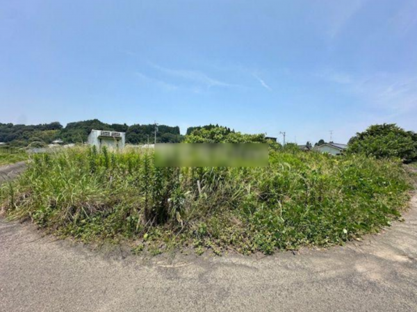 宮崎市高岡町、土地の画像です