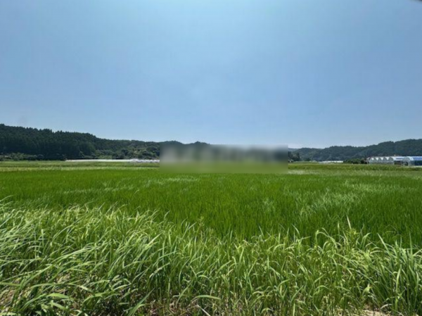 宮崎市高岡町、土地の画像です