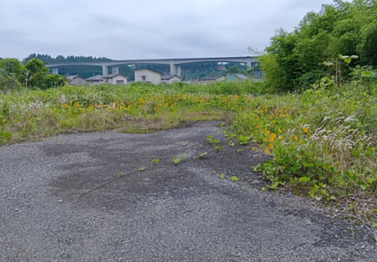 宮崎市清武町、土地の画像です