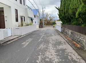 宮崎市清武町、土地の画像です