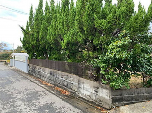 宮崎市清武町、土地の画像です